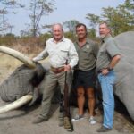 Cato John Elephant 2010 SAAM Safari