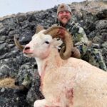 SAAM Testimonials Eric - Dall Sheep