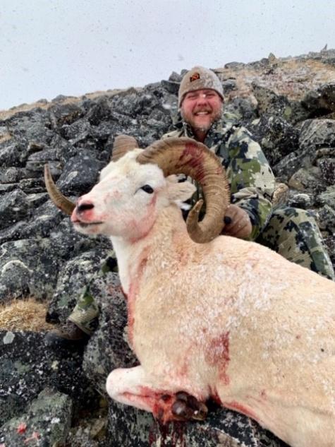 SAAM Testimonials Eric - Dall Sheep