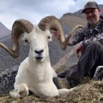 Saam Testimonials Joe Dall Sheep