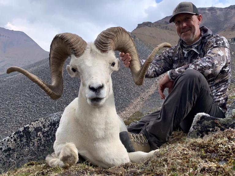 Saam Testimonials Joe Dall Sheep