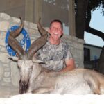 Armenian Mouflon Available to hunt
