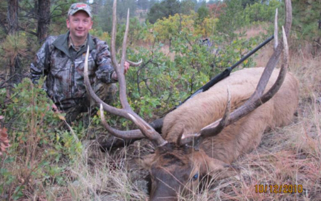 Dave Weidman elk 2010