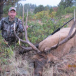 Dave Weidman elk 2010