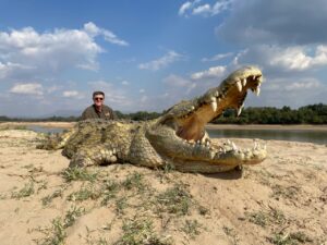Zambia Crocodile